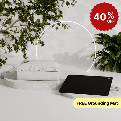 Catalog The Grounding Co